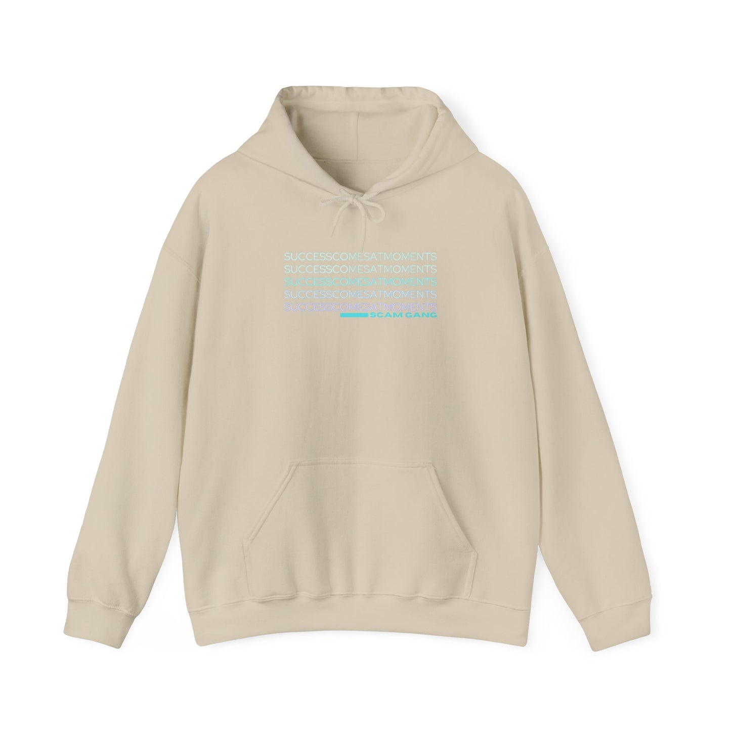 Success Comes at Moments x Unisex Heavy Blend™ Hooded Sweatshirt