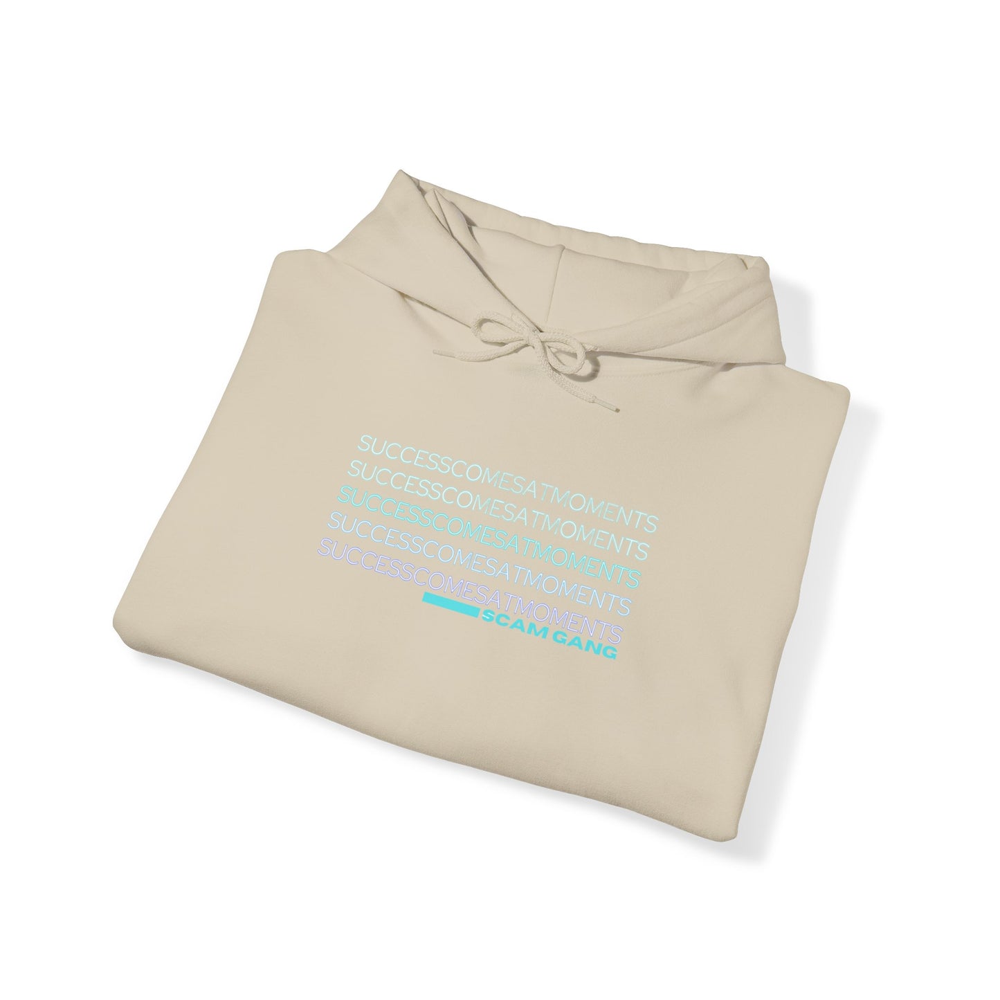 Success Comes at Moments x Unisex Heavy Blend™ Hooded Sweatshirt