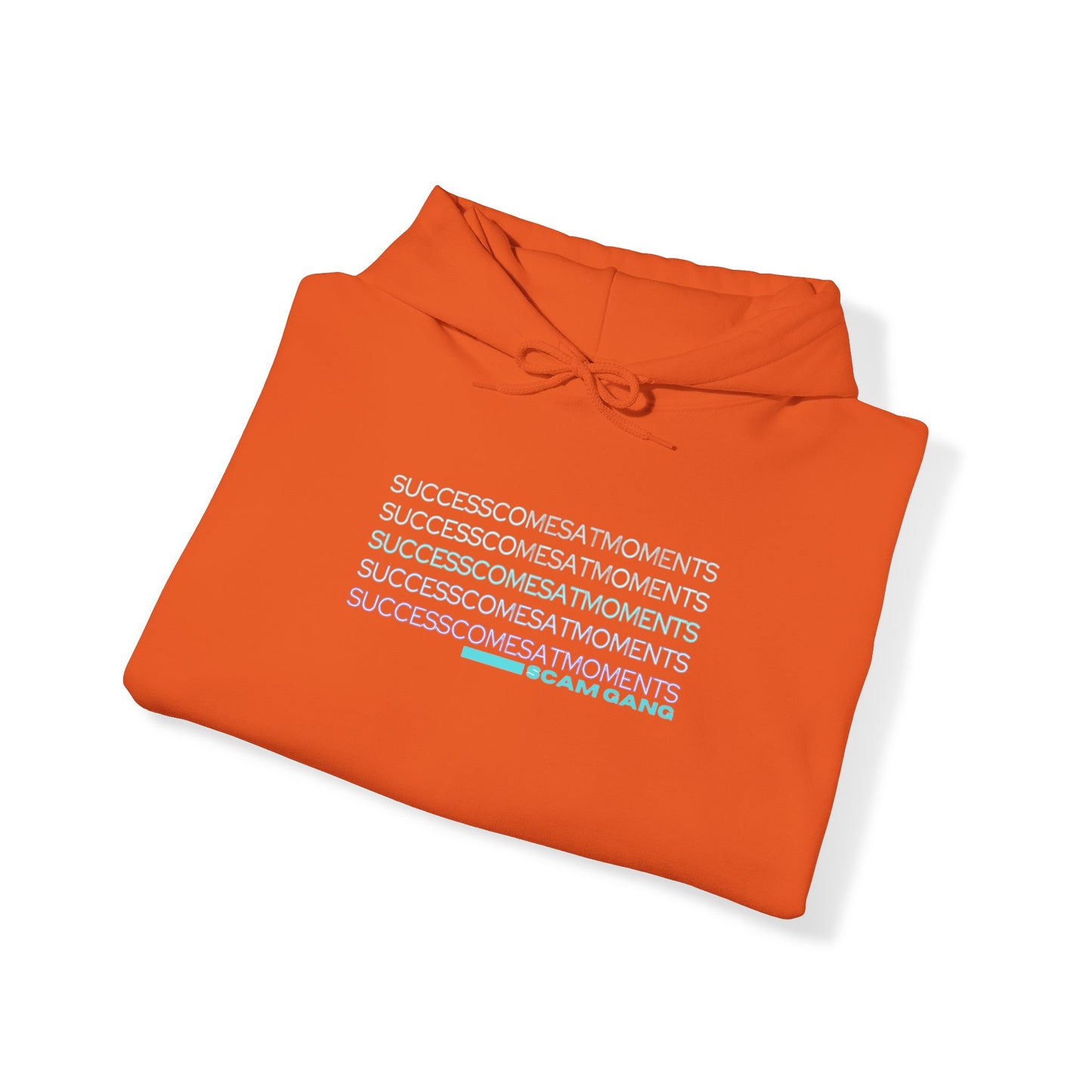 Success Comes at Moments x Unisex Heavy Blend™ Hooded Sweatshirt