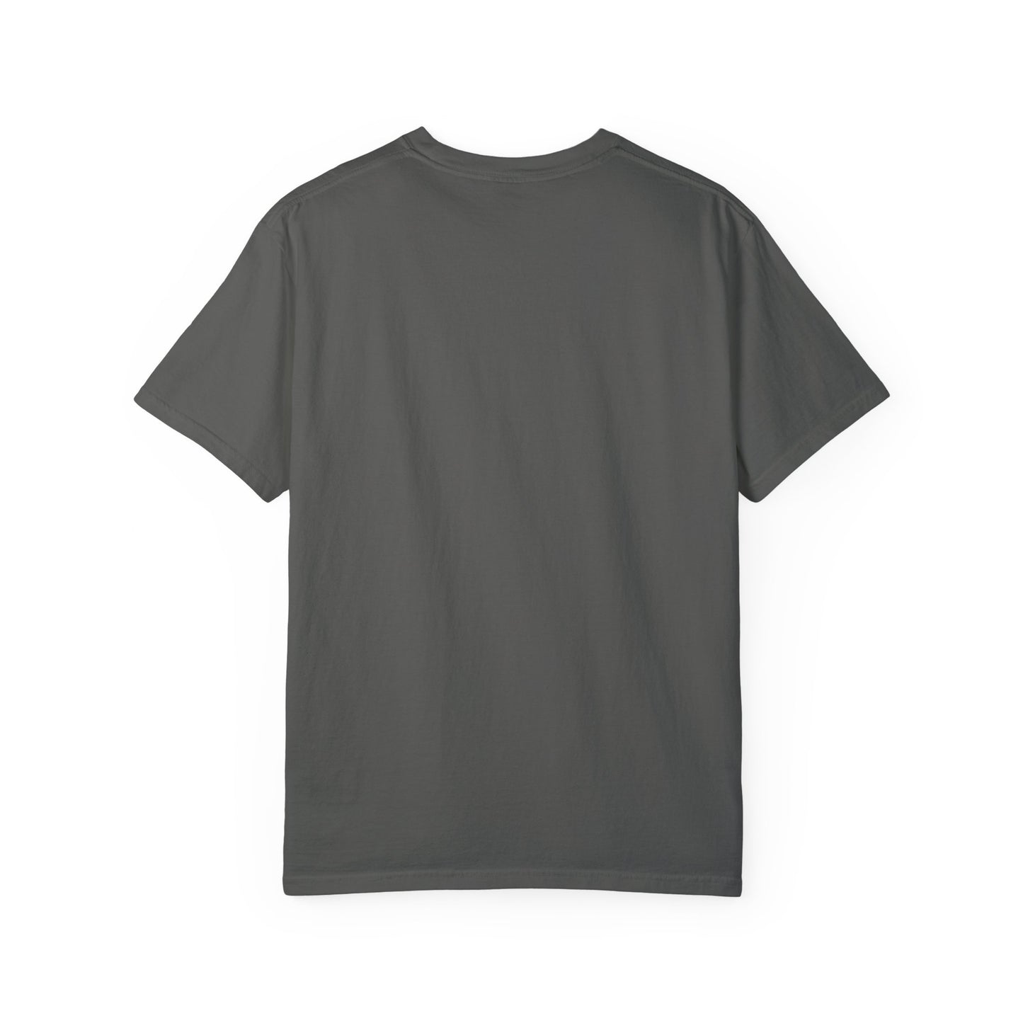 Successcomes At moments x Unisex Garment-Dyed T-shirt