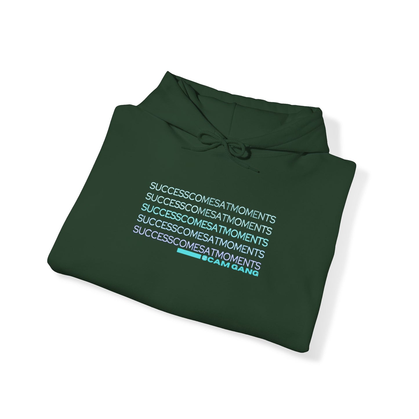 Success Comes at Moments x Unisex Heavy Blend™ Hooded Sweatshirt