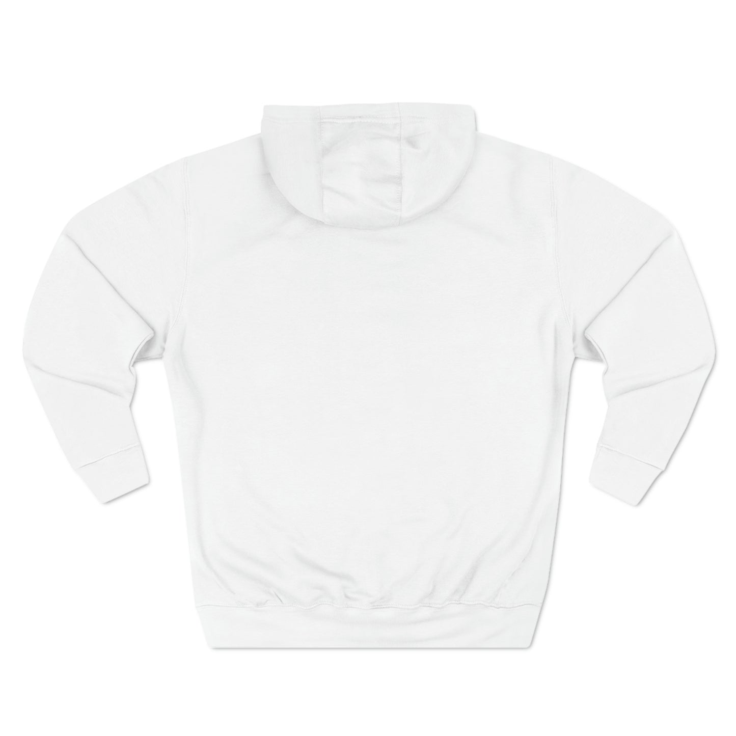 Success Scam x Three-Panel Fleece Hoodie