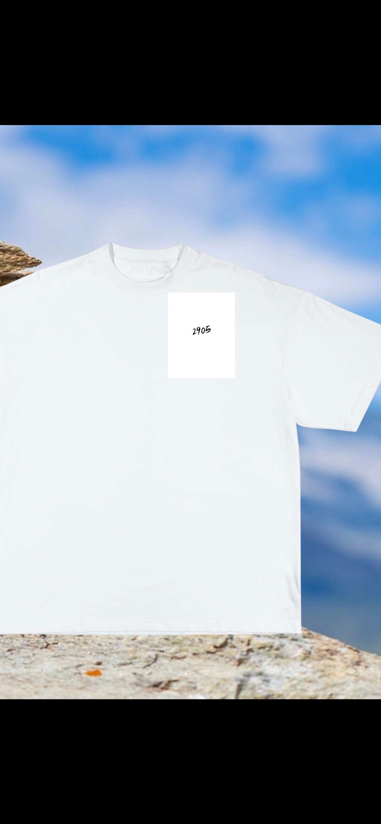 2905 unisex Tee