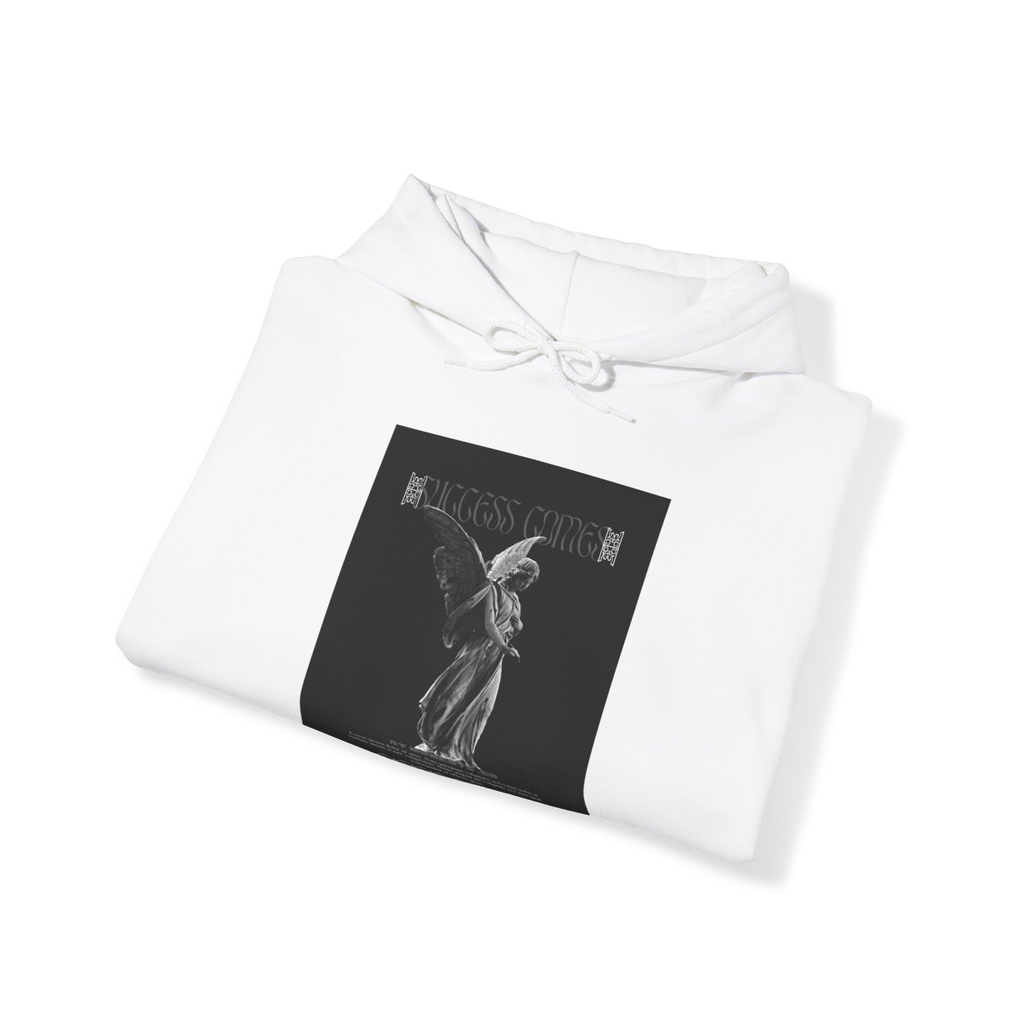 Success Comes X Unisex Heavy Blend™ Hooded Sweatshirt